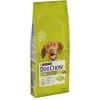 Purina Dog Chow Chien Adulte Poulet 14 Kg -Fournitures pour animaux 07613034487629 c1l1 dog chow adult medium chicken 14kg 43841202