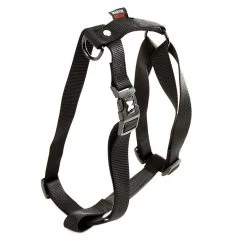 Martin Sellier Harnais Confort Nylon Noir 90/110 Cm -Fournitures pour animaux 12117.4 4