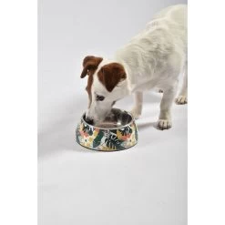 Bobby Gamelle Jungle 450 Ml -Fournitures pour animaux 176090 2