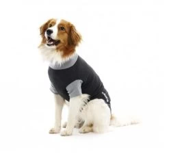 Buster Body Suit Chien S
