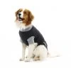 Buster Body Suit Chien XL -Fournitures pour animaux 1 8 1 1 1 1 1 1