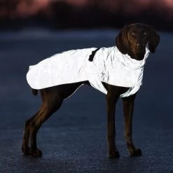 Trixie Imperméable Lunas Chien S 40 Cm -Fournitures pour animaux 278705 pho pro dog 680600 680608 1 7