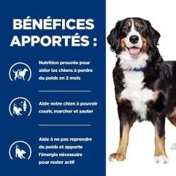Hill's Prescription Diet Canine J/D Metabolic + Mobility 4 Kg 10 Hill's Prescription Diet Canine J/D Metabolic + Mobility 4 Kg -Fournitures pour animaux 52742000633 4 prescription diet chien metabolic mobility croquettes poulet