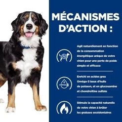 Hill's Prescription Diet Canine J/D Metabolic + Mobility 4 Kg 11 Hill's Prescription Diet Canine J/D Metabolic + Mobility 4 Kg -Fournitures pour animaux 52742000633 5 prescription diet chien metabolic mobility croquettes poulet