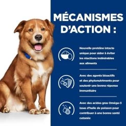 Hill's Prescription Diet Canine Derm Complete 4 Kg -Fournitures pour animaux 52742038704 5 prescription diet chien derm complete croquettes 2 1
