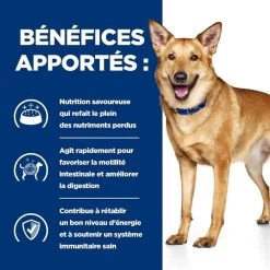 Hill's Prescription Diet Canine I/D 12 Kg -Fournitures pour animaux 52742043166 4 prescription diet chien i d croquettes