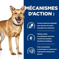 Hill's Prescription Diet Canine I/D 12 Kg -Fournitures pour animaux 52742043166 5 prescription diet chien i d croquettes