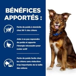 Hill's Prescription Diet Canine Metabolic 4 Kg -Fournitures pour animaux 52742209906 4 prescription diet chien metabolic croquettes poulet 1