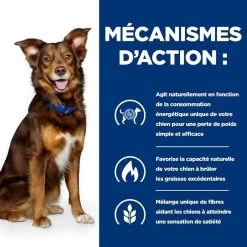 Hill's Prescription Diet Canine Metabolic 4 Kg -Fournitures pour animaux 52742209906 5 prescription diet chien metabolic croquettes poulet 1
