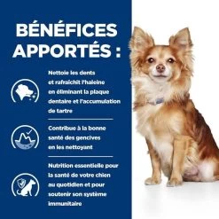 Hill's Prescription Diet Canine T/D MINI 3 Kg -Fournitures pour animaux 52742402109 4 prescription diet chien t d mini croquettes poulet