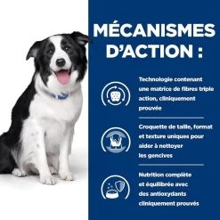 Hill's Prescription Diet Canine T/D 10 Kg -Fournitures pour animaux 52742402703 5 prescription diet chien t d croquettes poulet 1