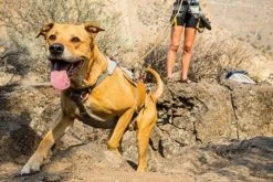 Ruffwear DoubleBack Harness L - Destockage -Fournitures pour animaux 5 1 1 1