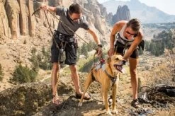 Ruffwear DoubleBack Harness L - Destockage -Fournitures pour animaux 7 1 1 1