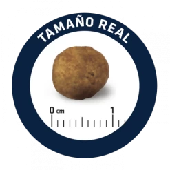 Advance Veterinary Diets Chien Gastroenteric 3 Kg -Fournitures pour animaux advance veterinary diet chien gastroenteric low fat 12 kg 1