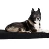 Back On Track Matelas Pour Chien 85 × 70 Cm 1 Back On Track Matelas Pour Chien 85 × 70 Cm -Fournitures pour animaux back on track matelas pour chien 1 1