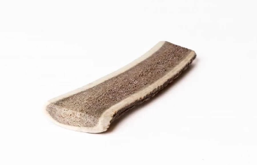 Evident Bois De Cerf Tranché M 3 Evident Bois De Cerf Tranché M