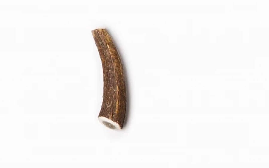 Evident Bois De Cerf Entier XS 3 Evident Bois De Cerf Entier XS