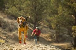 Ruffwear Bottines Grip Trex Rouge 76 Mm - Destockage -Fournitures pour animaux bottines ruffwear grip trex rouge 76 mm4 1