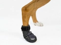 Bottines Ruffwear Grip Trex Rouge M 70 Mm Destockage -Fournitures pour animaux bottines ruffwear grip trex rouge 3 1 2 1