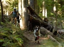 Bottines Ruffwear Grip Trex Rouge M 70 Mm Destockage -Fournitures pour animaux bottines ruffwear grip trex rouge 4 1 2 1