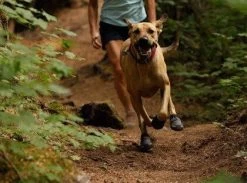 Bottines Ruffwear Grip Trex Rouge M 70 Mm Destockage -Fournitures pour animaux bottines ruffwear grip trex rouge 6 1 2 1