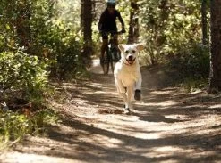 Bottines Ruffwear Grip Trex Rouge M 70 Mm Destockage -Fournitures pour animaux bottines ruffwear grip trex rouge 7 1 2 1