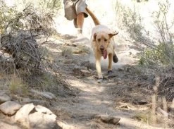 Bottines Ruffwear Grip Trex Rouge M 70 Mm Destockage -Fournitures pour animaux bottines ruffwear grip trex rouge 8 1 2 1