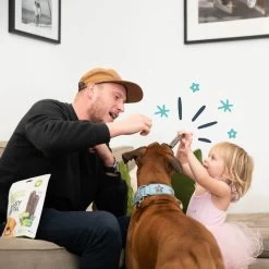 Edgard & Cooper Mach'sticks Pomme Et Eucalyptus Grand Chien 240 G 12 Edgard & Cooper Mach'sticks Pomme Et Eucalyptus Grand Chien 240 G -Fournitures pour animaux chien dental adulte naturel eucalyptus pomme 240g 3