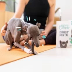 Edgard & Cooper Mach'sticks Fraise Et Menthe Petit Chien 105 G 12 Edgard & Cooper Mach'sticks Fraise Et Menthe Petit Chien 105 G -Fournitures pour animaux chien dental adulte naturel menthe fraise 105g 3