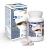 Cosequin HA 40 Cp -Fournitures pour animaux cosequin chien ha 40 cps arthrose