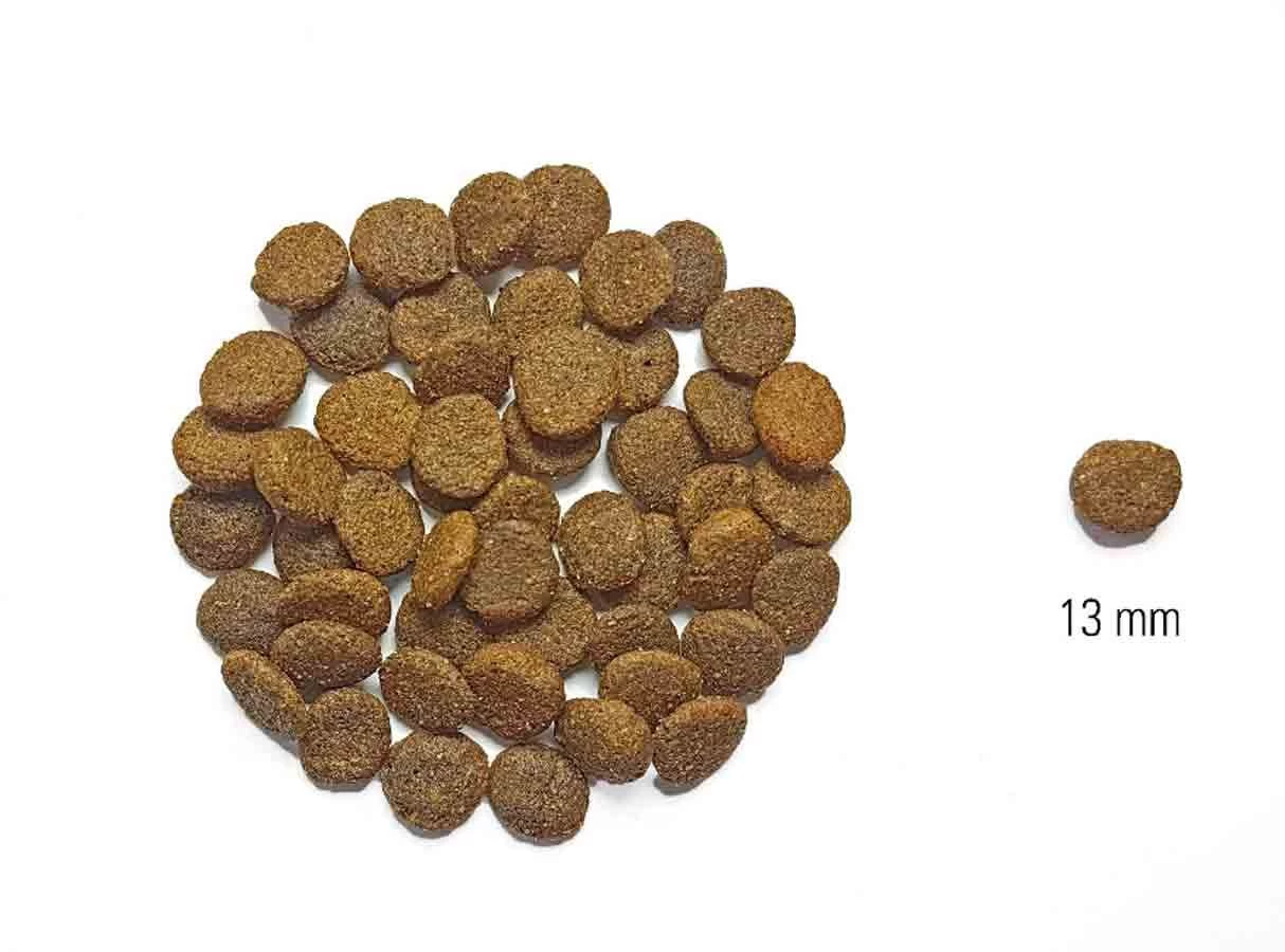 Dog's Love Croquettes Agneau Sans Céréales Et Sans Gluten 2 Kg 4 Dog's Love Croquettes Agneau Sans Céréales Et Sans Gluten 2 Kg – Image 2