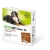 Drontal P XL Vermifuge Chien Gout Viande 2 Cps -Fournitures pour animaux drontal xl dogteur