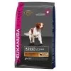 Eukanuba Chien Adulte Petite Et Moyenne Race Agneau Et Riz 12 Kg -Fournitures pour animaux eukanuba chien adult agneau et riz petite et moyenne race 1