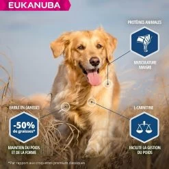 Eukanuba Chien Daily Care Surpoids Ou Stérilisé 12 Kg -Fournitures pour animaux eukanuba chien daily care surpoids ou st rilis 12 kg3