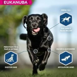 Eukanuba Chien Daily Care Surpoids Ou Stérilisé 12 Kg -Fournitures pour animaux eukanuba chien daily care surpoids ou st rilis 12 kg4