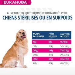 Eukanuba Chien Daily Care Surpoids Ou Stérilisé 12 Kg -Fournitures pour animaux eukanuba chien daily care surpoids ou st rilis 12 kg6