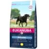 Eukanuba Chien Thriving Mature Grande Race 3 Kg - Destockage