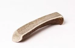 Evident Bois De Cerf Chiot S