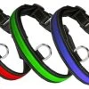 Eyenimal RGB Light Collar 3 Couleurs M