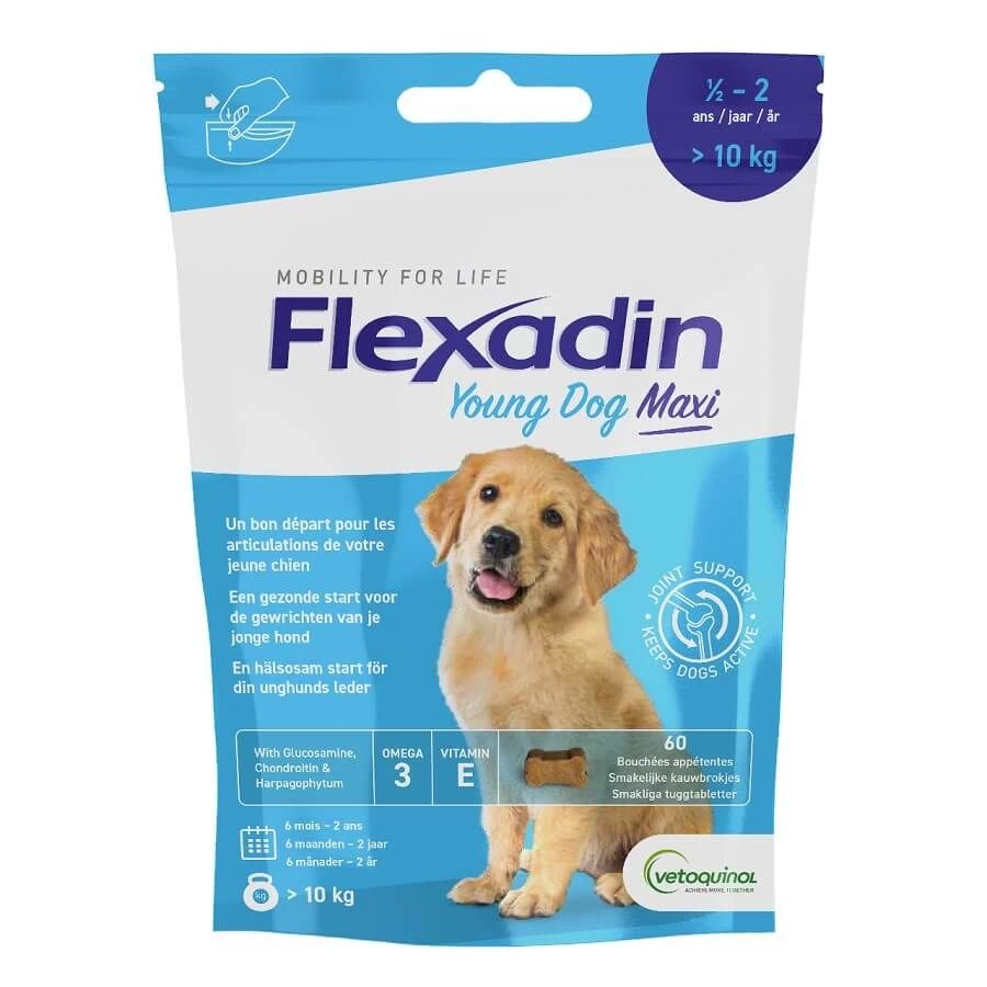 Flexadin Young Dog Maxi 60 Bouchées 3 Flexadin Young Dog Maxi 60 Bouchées
