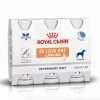 Royal Canin Vet Diet Chien Gastrointestinal Low Fat Liquid 3 X 200 Ml