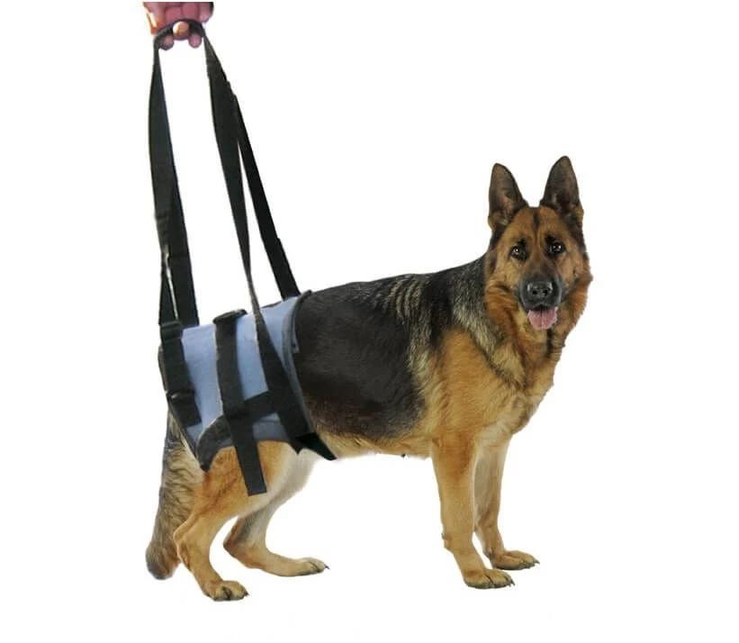 Harnais Handy Canis Pattes Arrières XL 6 Harnais Handy Canis Pattes Arrières XL – Image 4
