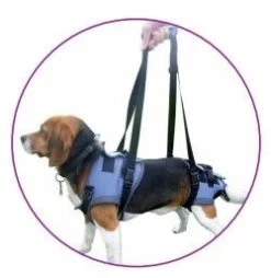 Harnais Handy Canis Pattes Arrières XL 11 Harnais Handy Canis Pattes Arrières XL -Fournitures pour animaux handycanis complet 1 1 1 1