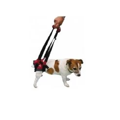 Harnais Handy Canis Pattes Arrières XL 14 Harnais Handy Canis Pattes Arrières XL -Fournitures pour animaux harnais handy canis pattes arri res 4