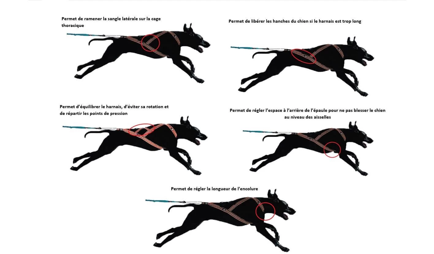 I-Dog Harnais X-Back One M 5 I-Dog Harnais X-Back One M – Image 3