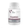 VetExpert Hépatiale M 10 Capsules - DLUO: 30/06/2023 -Fournitures pour animaux he patiale m la compagnie des animaux 4 1