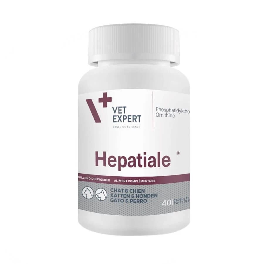 VetExpert Hépatiale M 10 Capsules - DLUO: 30/06/2023 3 VetExpert Hépatiale M 10 Capsules - DLUO: 30/06/2023