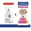Hill's Science Plan VetEssentials Canine Mature Dental Health Small & Mini Poulet 2 Kg