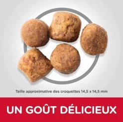 Hill's Science Plan Hill's Science Plan Canine Adult Healthy Mobility Large Breed Poulet 14 Kg -Fournitures pour animaux hill s science plan canine adult healthy mobility large breed poulet 14 kg3