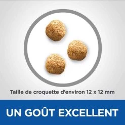 Hill's Science Plan VetEssentials Canine Mature Dental Health Small & Mini Poulet 2 Kg -Fournitures pour animaux hill s vetessentials canine mature mini2